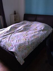 Ava Towers (D12), Apartment #533682041